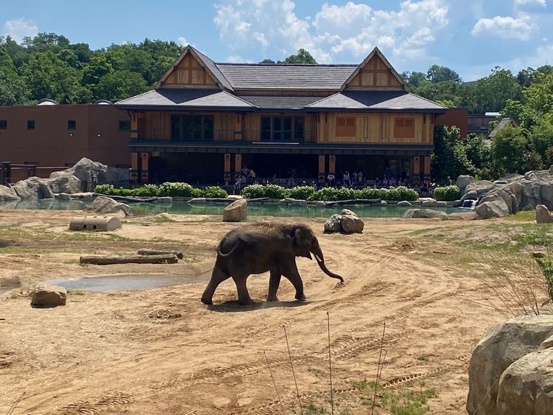 A Family Trip That Actually Works for Everyone