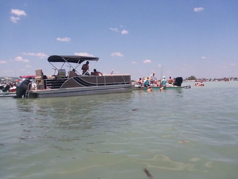 There Is A Famous Taco Boat