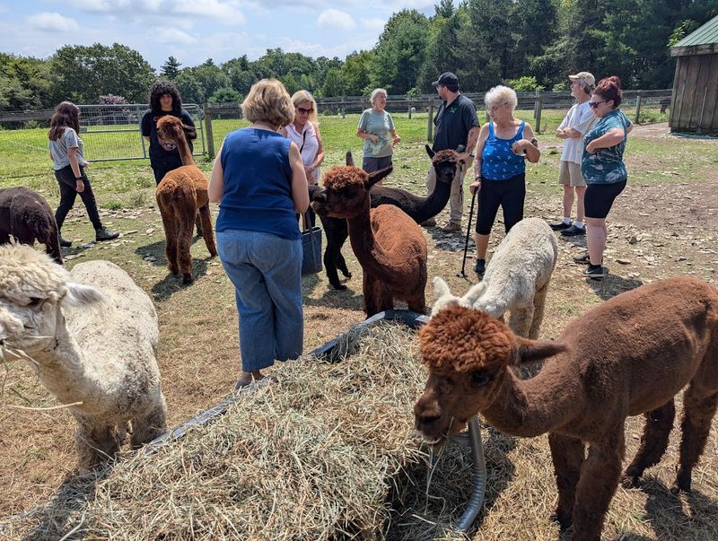 The Farm Is Highly Rated With A 4.8-Star Average