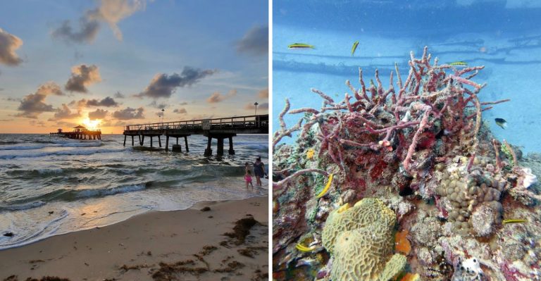 There’s A Funky Retro Town In Florida That’s Perfect For Walking And Worth Exploring