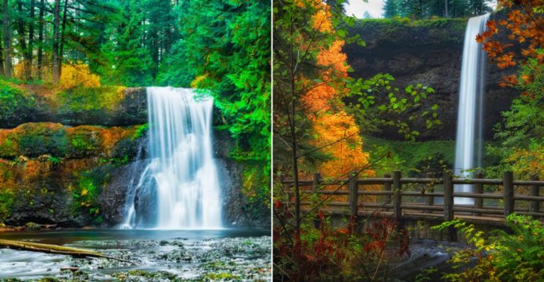 There’s A Place In Oregon Where The Forest Feels Like A Cathedral