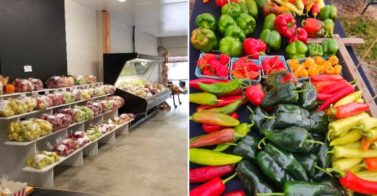 There’s An Ohio Farm Where Simple Traditions Still Take Center Stage (And That’s Awesome)