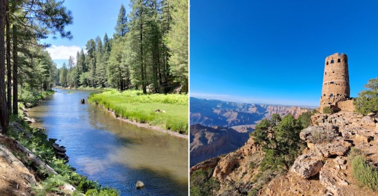 These 12 Arizona Nature Trails Are Perfect For An Early July Morning Escape