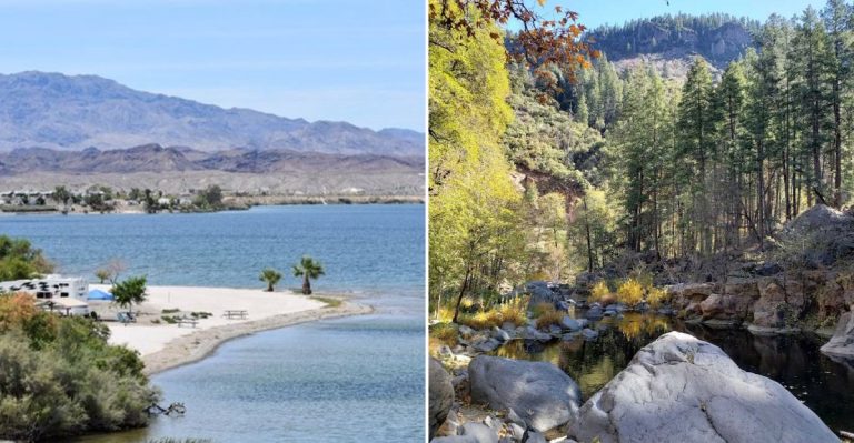These Arizona Quarry Swimming Spots And Clear-Water Parks Are Worth Visiting This Summer
