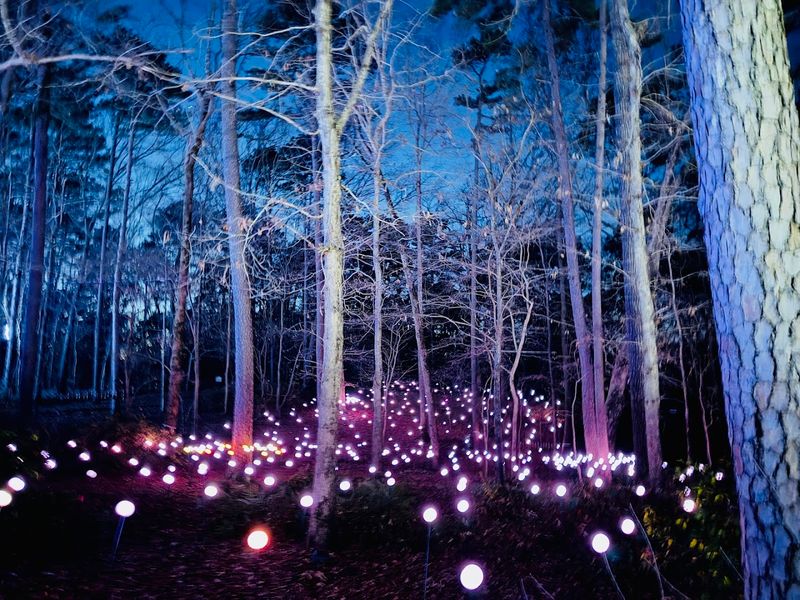 Garvan Woodland Gardens