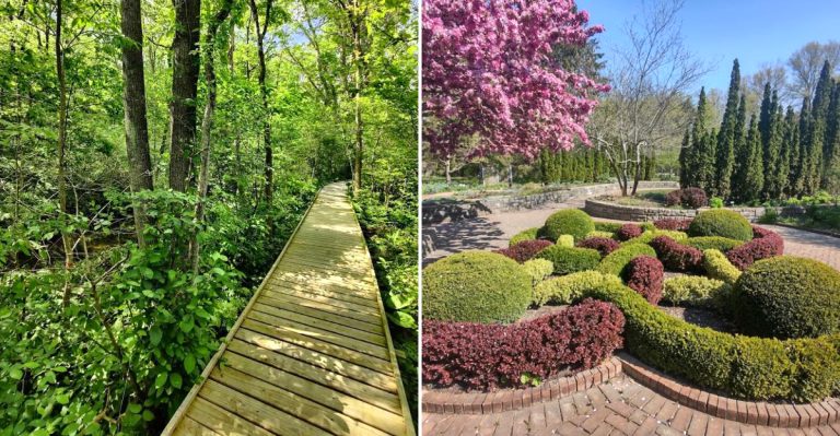 These 12 Ohio Nature Trails And Wildflower Walks Are Perfect For An April Escape