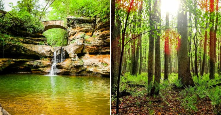 These 13 Breathtaking Places In Ohio Are So Beautiful You Truly Have To See Them To Believe It