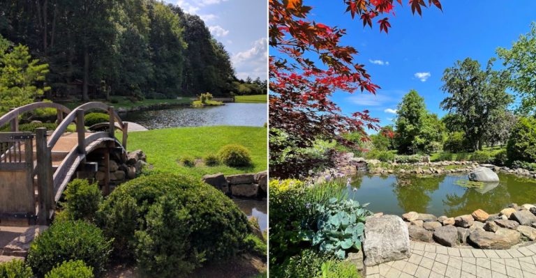 These 13 Ohio Public Gardens Are Perfect For A Peaceful Summer Morning