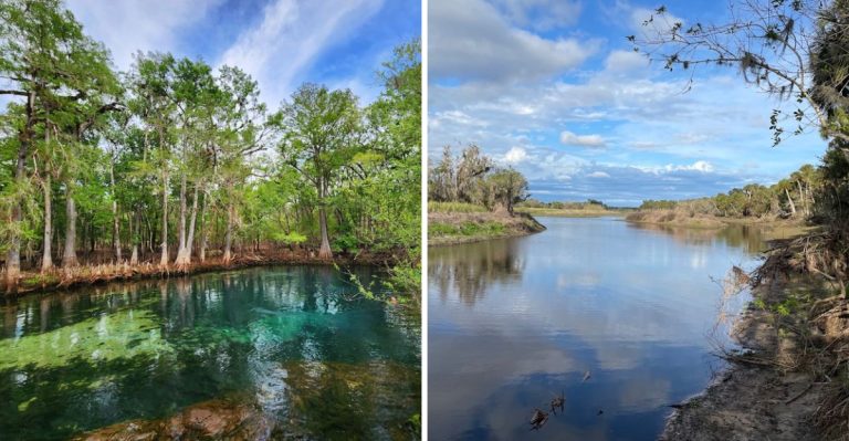 These 14 Florida State Parks Have Affordable Cabins And Yurts Just Steps From The Water