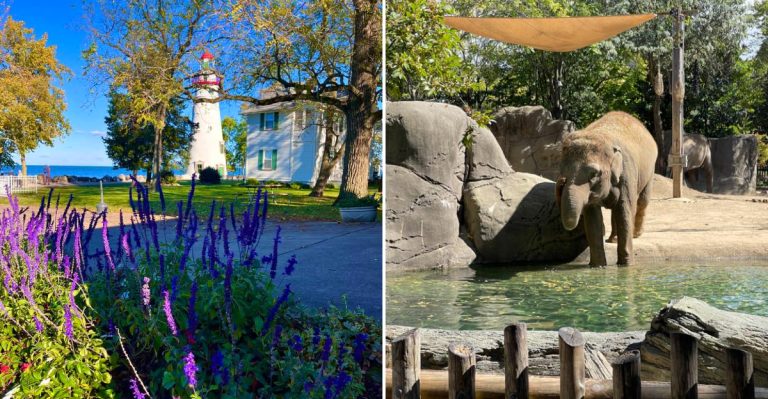 These 14 Underrated Ohio Day Trips Show A Different Side Of The State