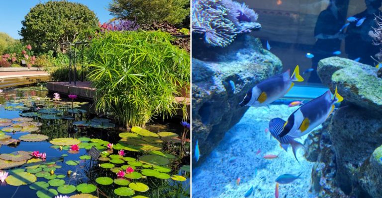 These 14 Unique Travel Locations In Illinois You Should Check Out In 2026