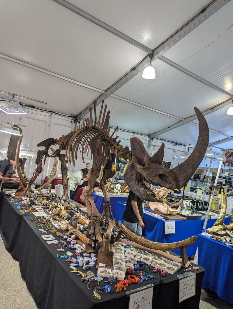 Tucson Gem, Mineral & Fossil Shows