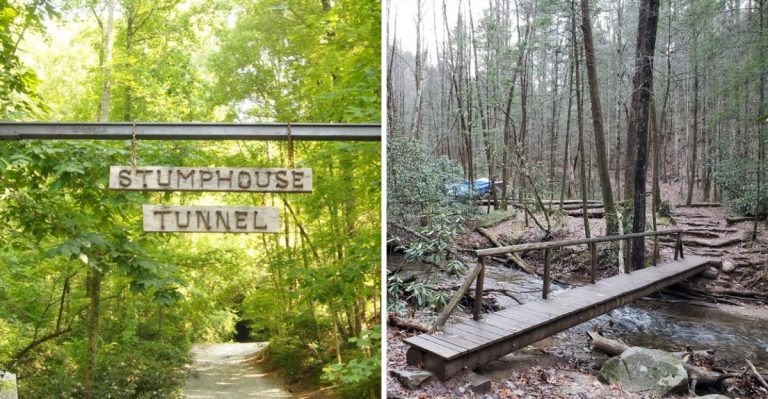 These 7 Easy South Carolina Trails Under 5 Miles Are Perfect Even If You’re Not A Serious Hiker