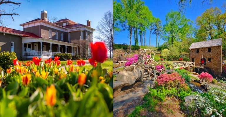 These 9 Gorgeous Arkansas Gardens And Botanical Spots Are Worth Visiting In 2026