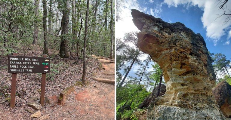 These 9 Short And Sweet South Carolina Hikes Are Under 5 Miles And Absolutely Worth Your Time