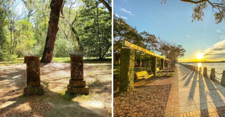 These 9 Tree-Lined Roads In South Carolina Feel Straight Out Of A Movie