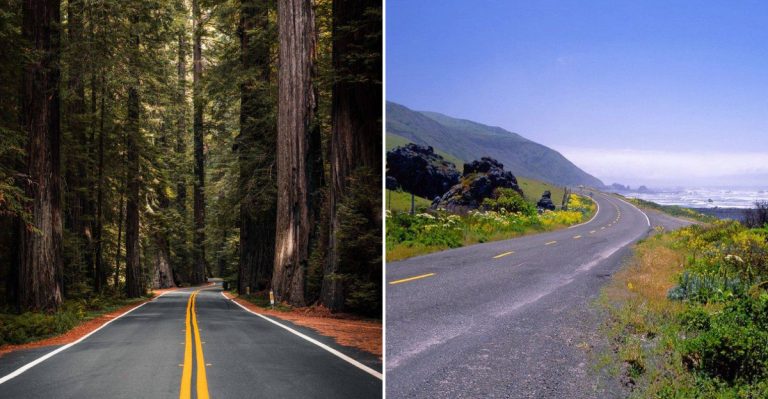 These Are 10 Scenic Backroads In California You Need To Drive At Least Once
