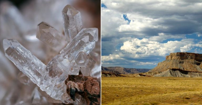 These Are The Best Colorado Places To Find Fossils, Agates, Crystals, And More