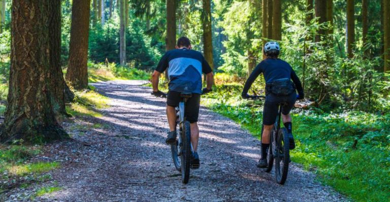These Arizona Bike Trails Are Packed With Woods, Meadows, And A Lot Of Fun Stops Along The Way