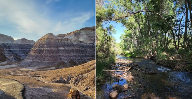 These Arizona Trails Somehow Stay Off Tourist Radars And That Is A Shame