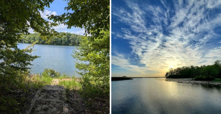 These Arkansas Trails Somehow Stay Off Tourist Radars (And That Is A Shame)