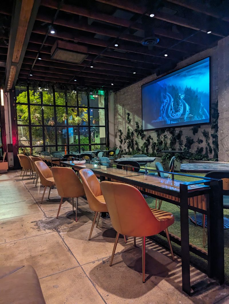 First Bite Electricity