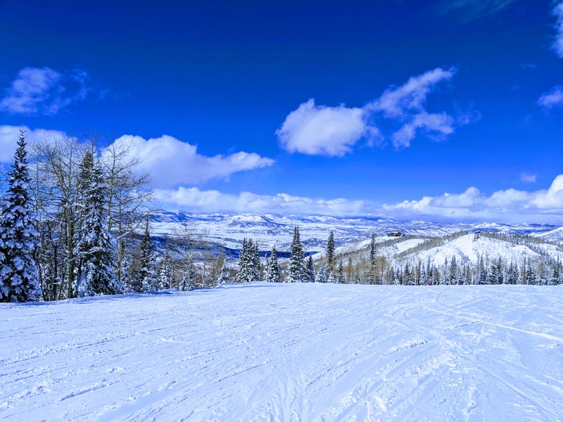 WinterWonderGrass — Steamboat Springs