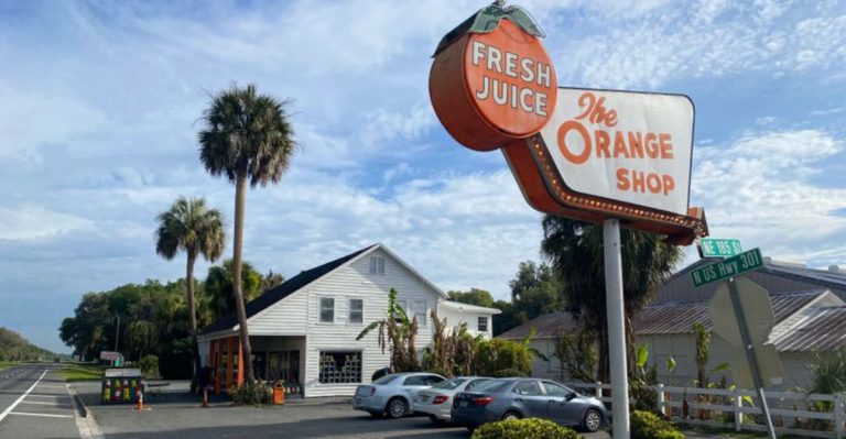 These Florida Citrus Stands Pour Fresh-Squeezed Sunshine Right From The Grove