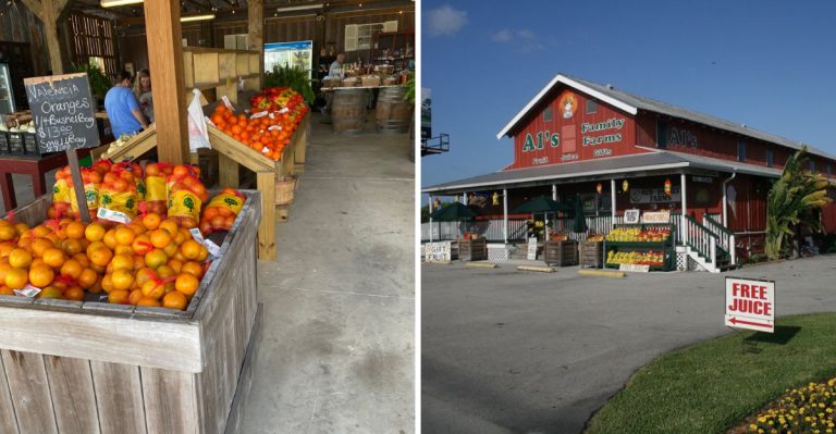 These Florida Citrus Stands Serve Sunshine By The Cup