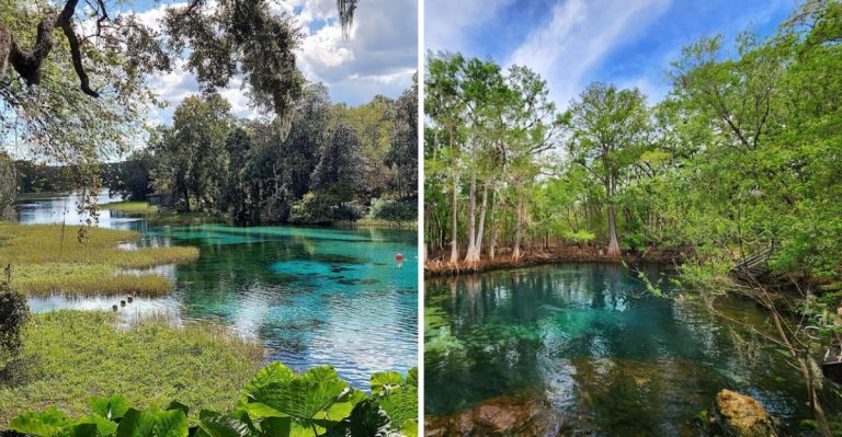 These Florida Day Trips Feel Like A Mini Vacation And They’re All Under $55
