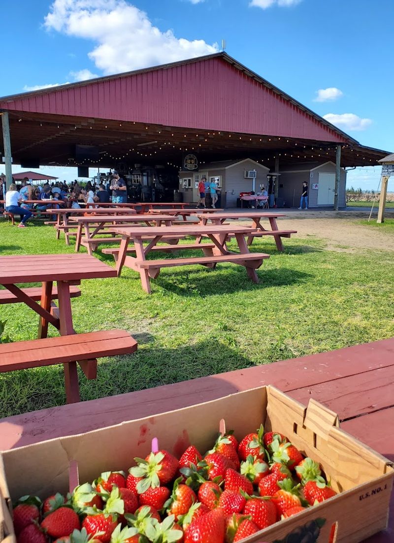 Southern Hill Farms, Clermont