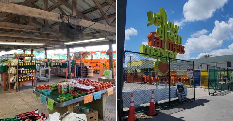 These Florida Roadside Stands Have No Menus No Signs And Locals Will Never Tell You Where They Are
