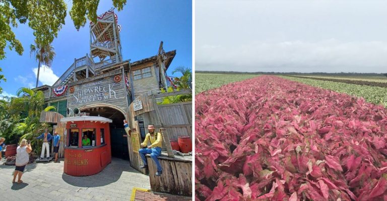 These Florida Summer Festivals Locals Look Forward To Every Year
