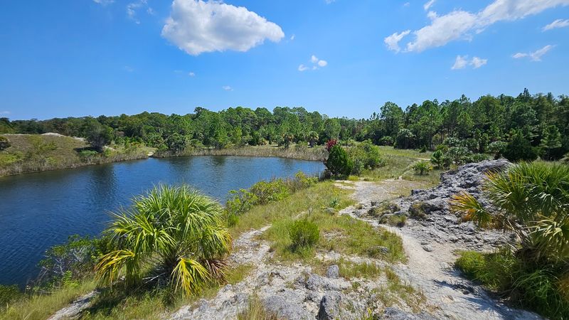 Aripeka Sandhills Preserve Trail