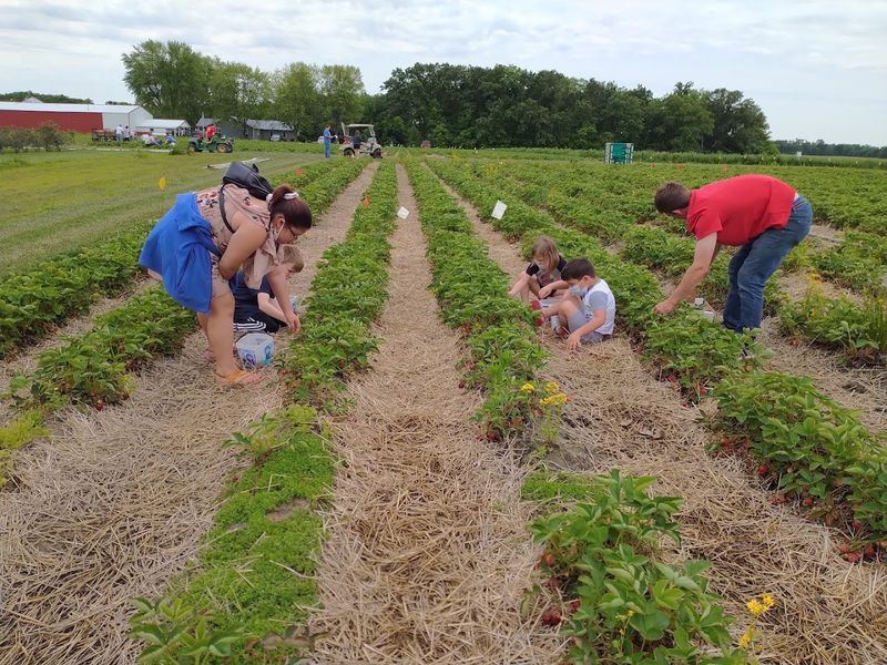 Backwoods Berry Farm, Hettick
