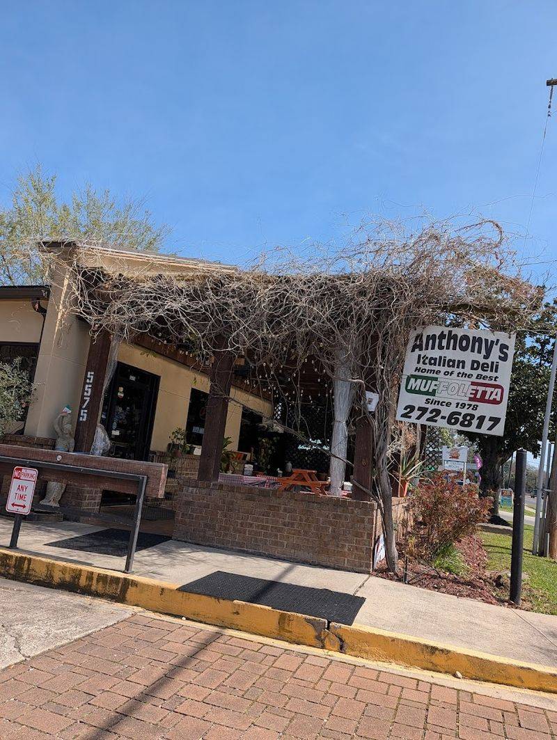 Finding The Spot On Government Street