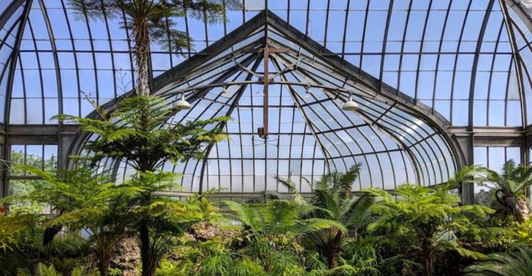 Some of Michigan's most beautiful gardens