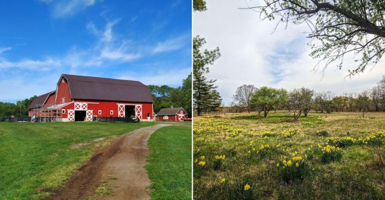 Michigan's most beautiful nature trails