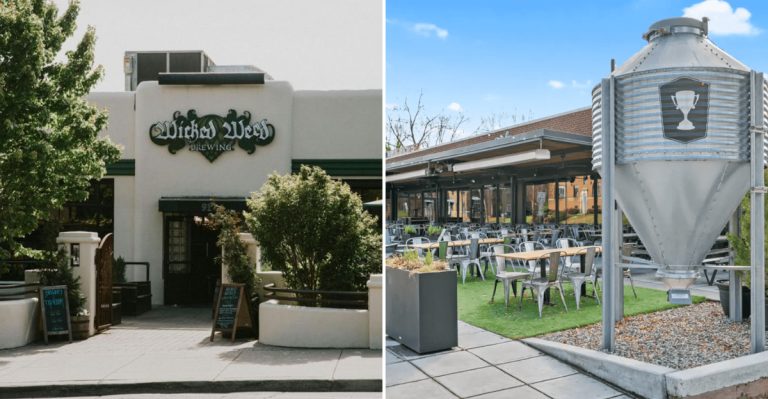 These North Carolina Pet-Friendly Restaurants Have Great Food And Even Better Patios