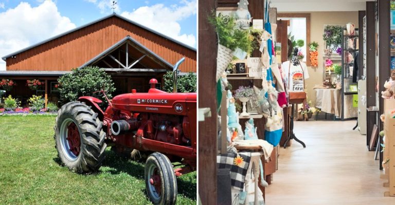 These Ohio Farm Market Road Trips Make May Weekends Feel Fresh And Delicious