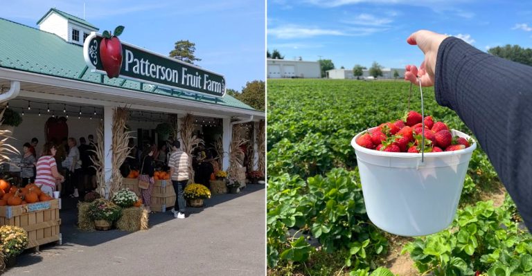 These Ohio Farms Let You Pick Your Own Strawberries Every Spring