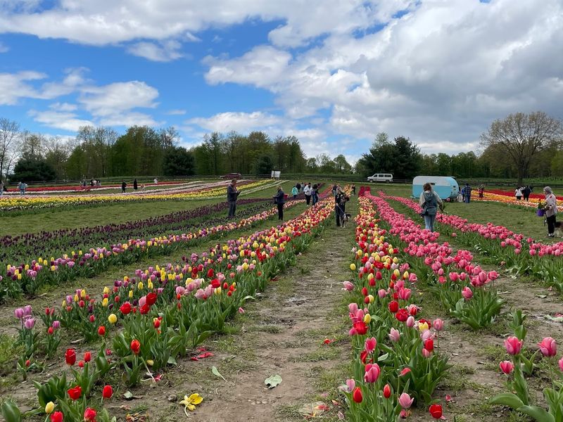 Timbuk Farms, Granville, Ohio