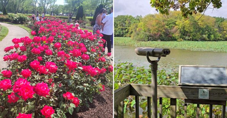 These Ohio Lake Erie Trips Are Exactly What May Was Made For