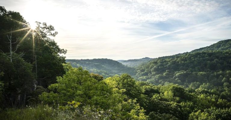 These Ohio Nature Preserves Are Perfect For A Peaceful March Escape