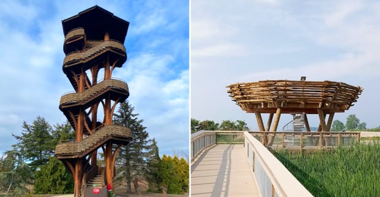 These Ohio Observation Towers And Overlooks Are Worth Climbing In 2026