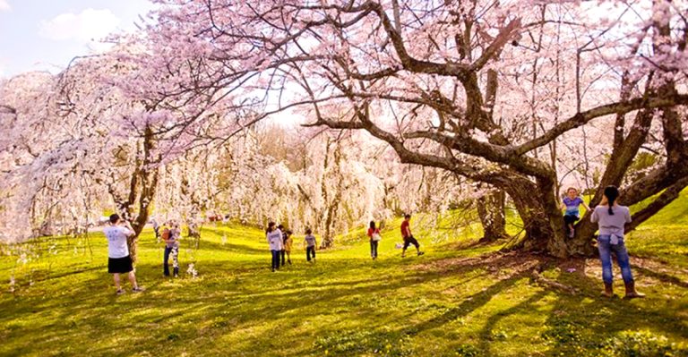 These Ohio Spring Destinations Feel Extra Special In 2026