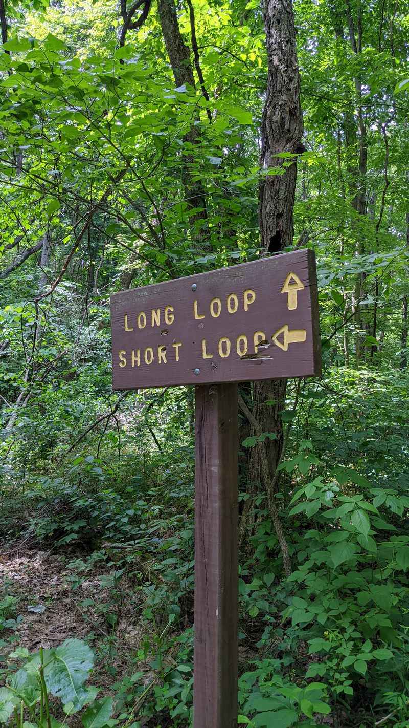 Wildcat Hollow Trail – Wayne National Forest, Near Corning