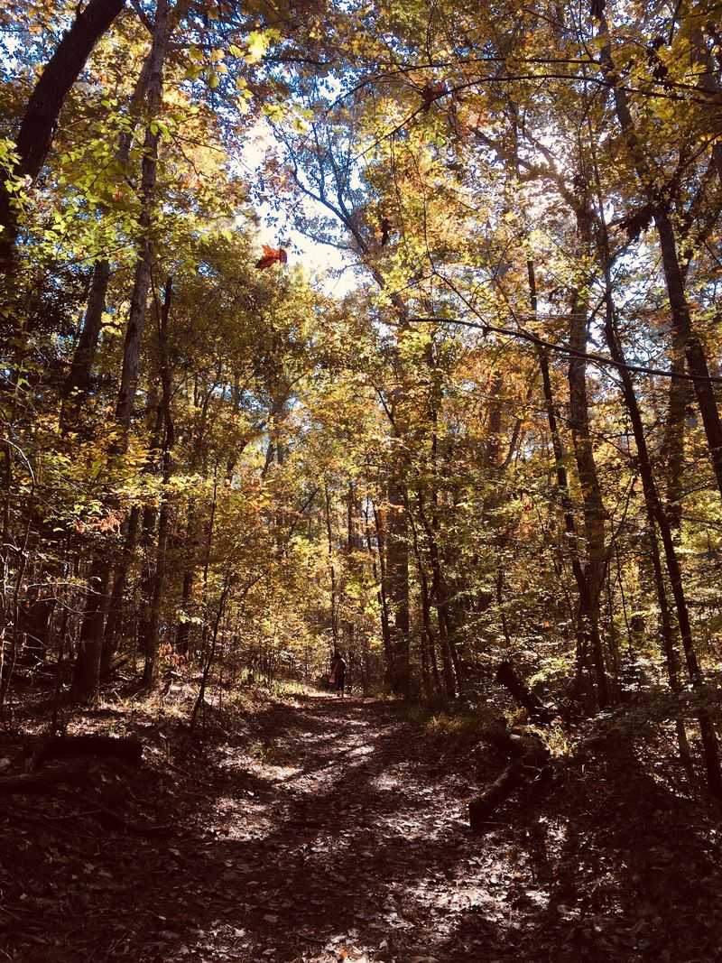 These Shady Trails Feel Far From The Crowds These Shady Trails Feel Far From The Crowds