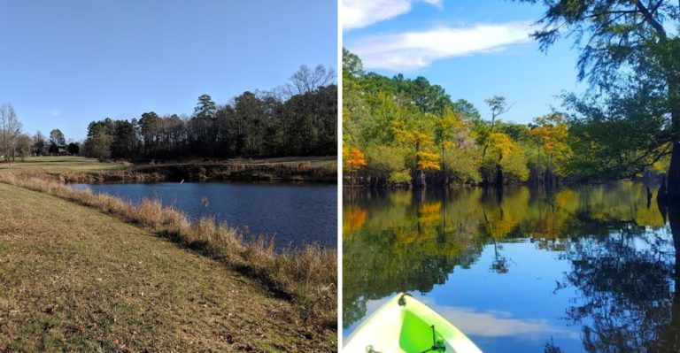 These Unique River Pods Offer One Of South Carolina’s Most Unforgettable Stays