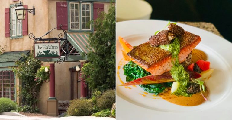 Don’t Miss These Washington State Restaurants Before The Leaves Are Gone